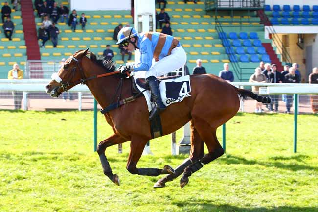 Photo d'arrivée de la course pmu PRIX DU COMMANDANT BOSSUT à COMPIEGNE le Mercredi 14 mars 2018