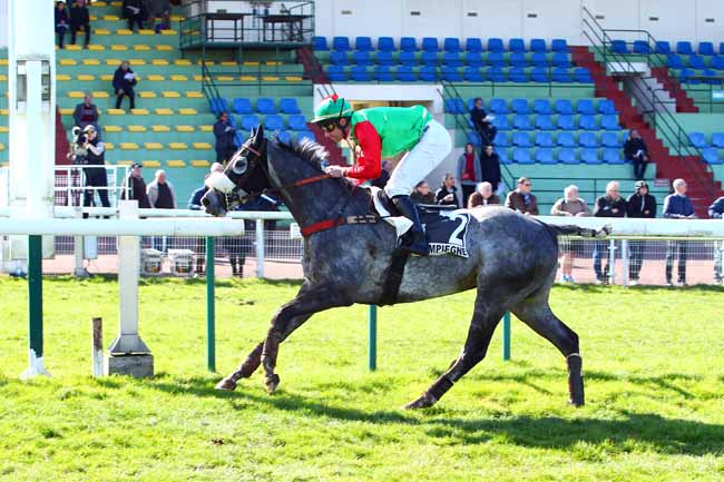 Photo d'arrivée de la course pmu PRIX DU MONT CENIS à COMPIEGNE le Mercredi 14 mars 2018