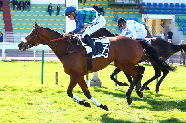 Photo d'arrivée de la course pmu PRIX SOLITAIRE à COMPIEGNE le Mercredi 14 mars 2018