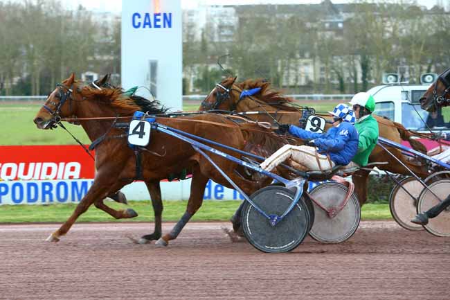 Photo d'arrivée de la course pmu PRIX DE CANAPVILLE à CAEN le Vendredi 16 mars 2018