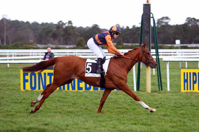 Photo d'arrivée de la course pmu PRIX DE SAMOREAU à FONTAINEBLEAU le Vendredi 16 mars 2018