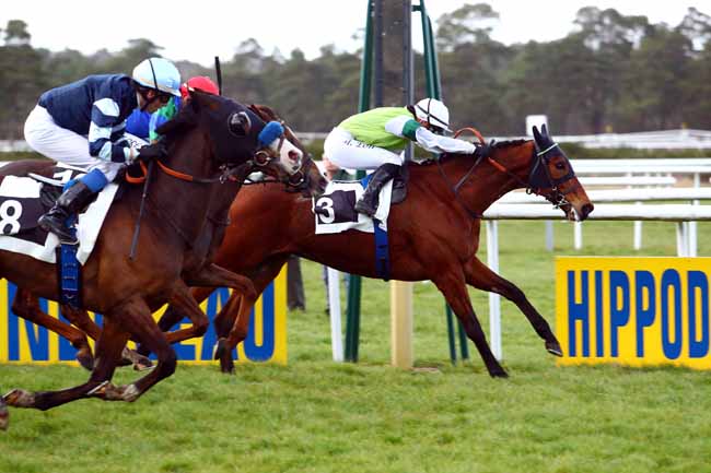 Photo d'arrivée de la course pmu PRIX DU BOIS DE LA COMMANDERIE à FONTAINEBLEAU le Vendredi 16 mars 2018