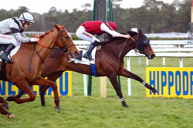 Photo d'arrivée de la course pmu PRIX DES HAUTEURS DE LA SOLLE à FONTAINEBLEAU le Vendredi 16 mars 2018