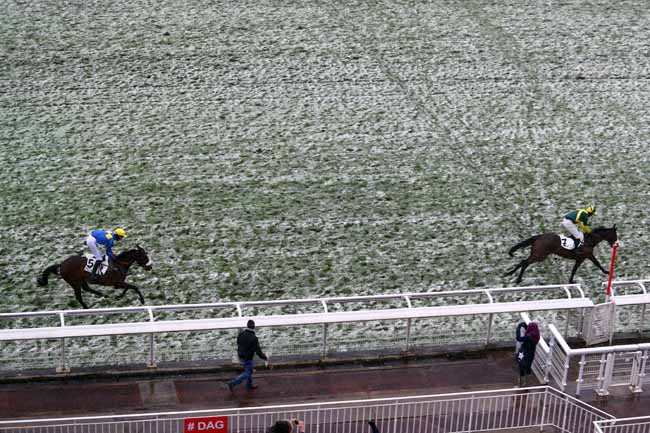 Photo d'arrivée de la course pmu PRIX SAMARITAIN à AUTEUIL le Dimanche 18 mars 2018