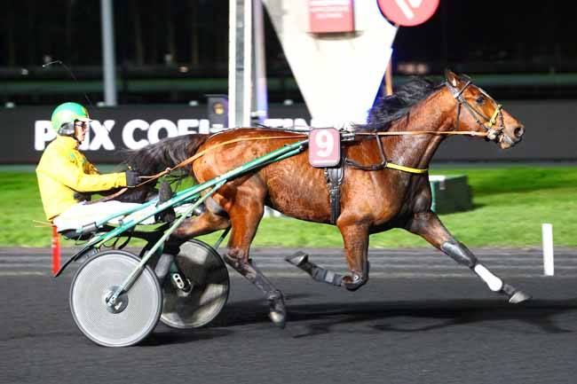 Photo d'arrivée de la course pmu PRIX COELESTINA à PARIS-VINCENNES le Mardi 20 mars 2018