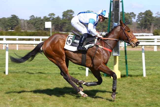 Photo d'arrivée de la course pmu PRIX DU BOIS ROND à FONTAINEBLEAU le Mercredi 21 mars 2018