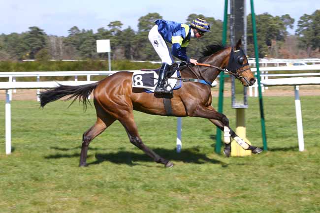 Photo d'arrivée de la course pmu PRIX DU CARREFOUR DE L'OBELISQUE à FONTAINEBLEAU le Mercredi 21 mars 2018