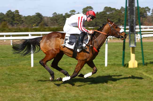 Photo d'arrivée de la course pmu PRIX DU PAVE DU ROY à FONTAINEBLEAU le Mercredi 21 mars 2018