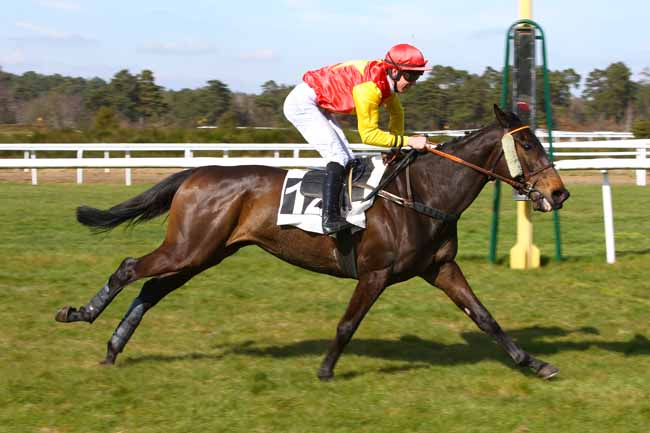 Photo d'arrivée de la course pmu PRIX DE LA SOCIETE DES COURSES DE DIEPPE à FONTAINEBLEAU le Mercredi 21 mars 2018