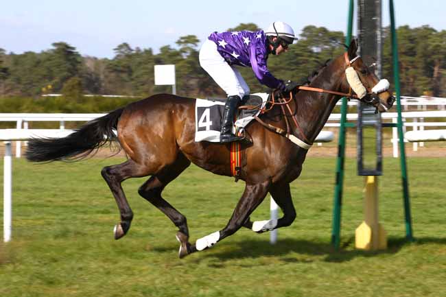 Photo d'arrivée de la course pmu PRIX DE LA SOCIETE DES COURSES DU PIN à FONTAINEBLEAU le Mercredi 21 mars 2018