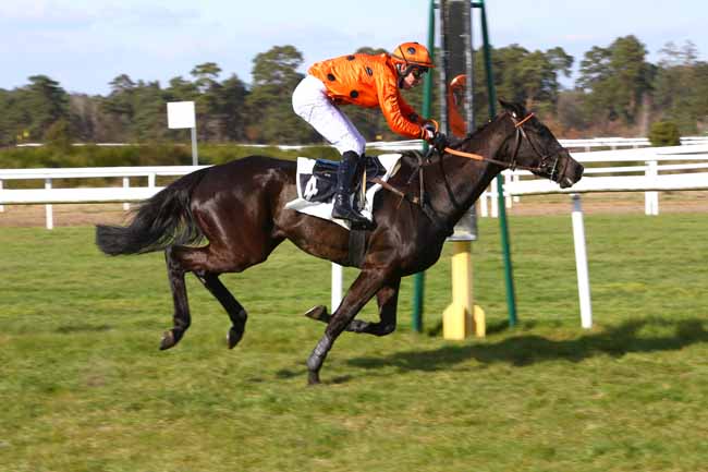 Photo d'arrivée de la course pmu PRIX D'ARBONNE-LA-FORET à FONTAINEBLEAU le Mercredi 21 mars 2018