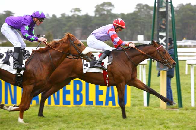 Photo d'arrivée de la course pmu PRIX OMNIUM II à FONTAINEBLEAU le Jeudi 22 mars 2018