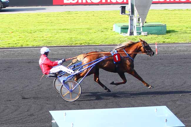 Photo d'arrivée de la course pmu PRIX DE GUEUGNON à PARIS-VINCENNES le Samedi 24 mars 2018