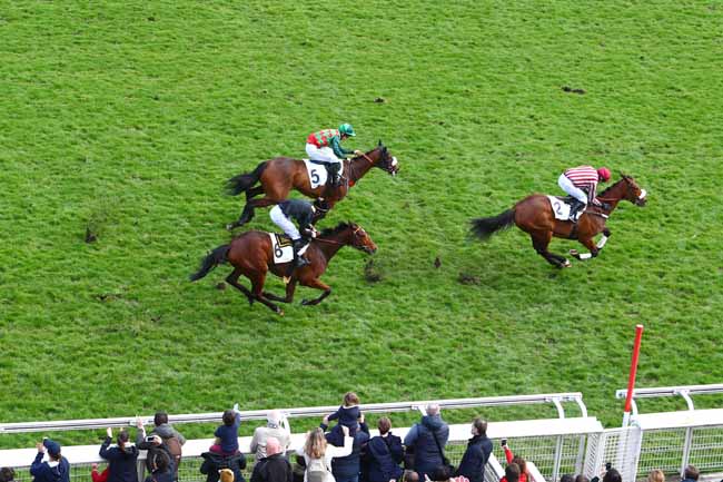 Photo d'arrivée de la course pmu PRIX VIRELAN à AUTEUIL le Dimanche 25 mars 2018