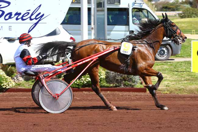Photo d'arrivée de la course pmu GRAND NATIONAL DU TROT PARIS-TURF à MARSEILLE-BORELY le Mercredi 28 mars 2018