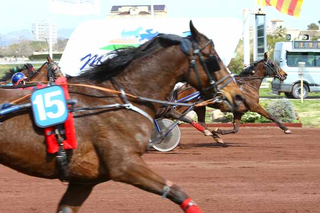 Photo d'arrivée de la course pmu PRIX DE SALON-DE-PROVENCE à MARSEILLE-BORELY le Mercredi 28 mars 2018