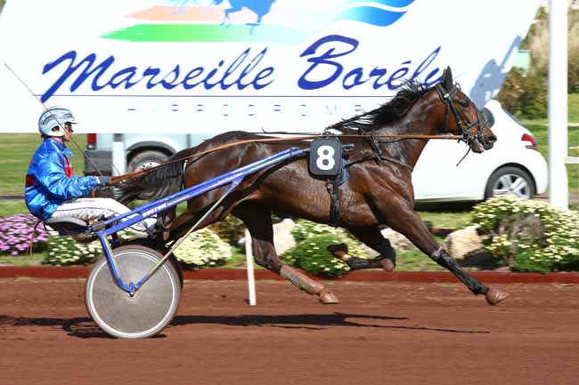Photo d'arrivée de la course pmu PRIX DE CAVAILLON à MARSEILLE-BORELY le Mercredi 28 mars 2018