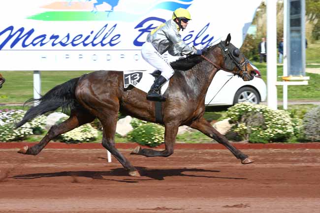 Photo d'arrivée de la course pmu PRIX DES CAVES SAINT-MARC DE CAROMB à MARSEILLE-BORELY le Mercredi 28 mars 2018