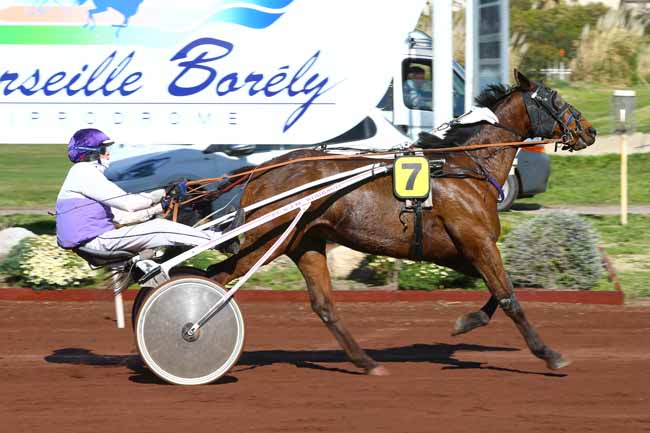Photo d'arrivée de la course pmu PRIX DE CAGNES-SUR-MER - BAR ARTISTIC à MARSEILLE-BORELY le Mercredi 28 mars 2018