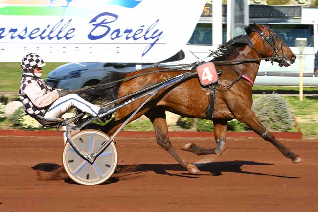 Photo d'arrivée de la course pmu PRIX DU CHATEAU D'IF à MARSEILLE-BORELY le Mercredi 28 mars 2018