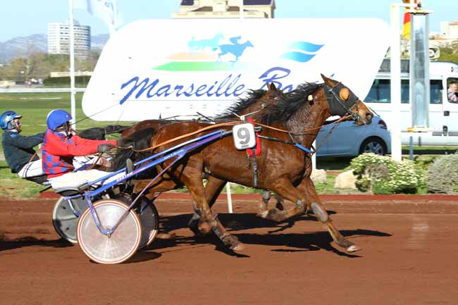 Photo d'arrivée de la course pmu PRIX DOCTEUR YVES BACHELIER à MARSEILLE-BORELY le Mercredi 28 mars 2018