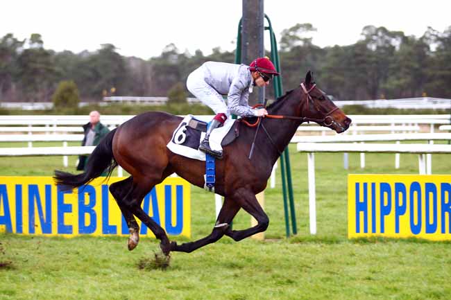 Photo d'arrivée de la course pmu PRIX DU CENTRE D'ECOTOURISME DE FRANCHARD à FONTAINEBLEAU le Vendredi 30 mars 2018