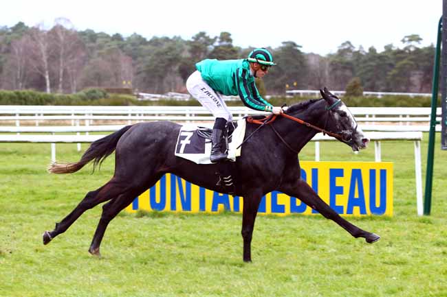 Photo d'arrivée de la course pmu PRIX DE BOIS LE ROI à FONTAINEBLEAU le Vendredi 30 mars 2018