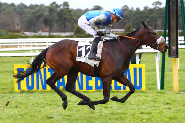 Photo d'arrivée de la course pmu PRIX DES CYPRES à FONTAINEBLEAU le Vendredi 30 mars 2018