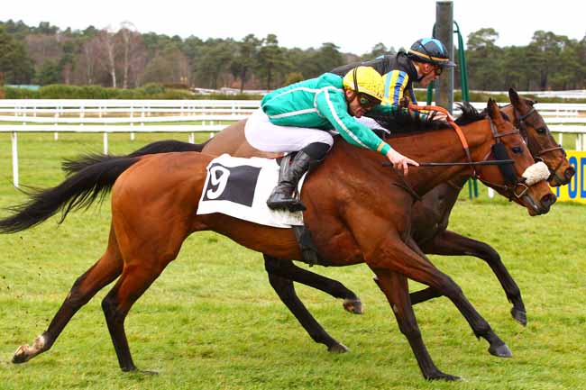 Photo d'arrivée de la course pmu PRIX DE FONTAINE LE PORT à FONTAINEBLEAU le Vendredi 30 mars 2018