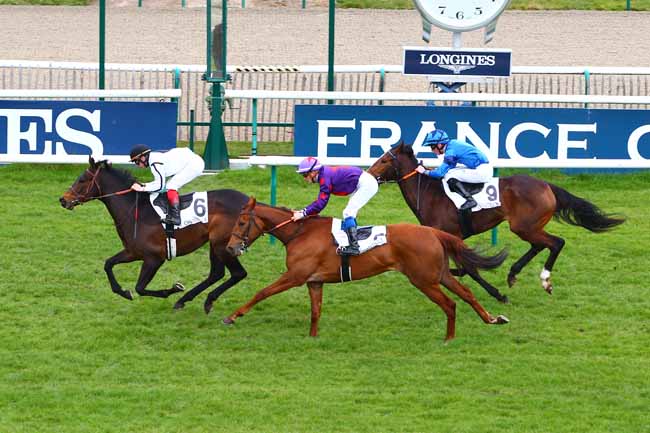 Photo d'arrivée de la course pmu PRIX DU PAVILLON DE MANSE à CHANTILLY le Samedi 31 mars 2018