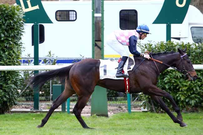 Photo d'arrivée de la course pmu PRIX DU PREMIER PAS à CHANTILLY le Mardi 3 avril 2018