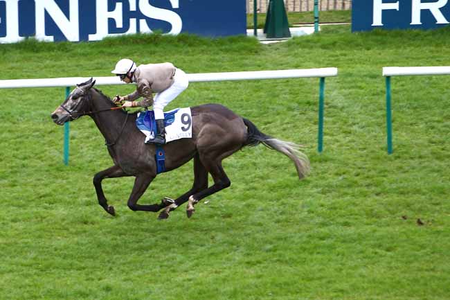 Photo d'arrivée de la course pmu PRIX DE BRUNEHAUT à CHANTILLY le Mardi 3 avril 2018