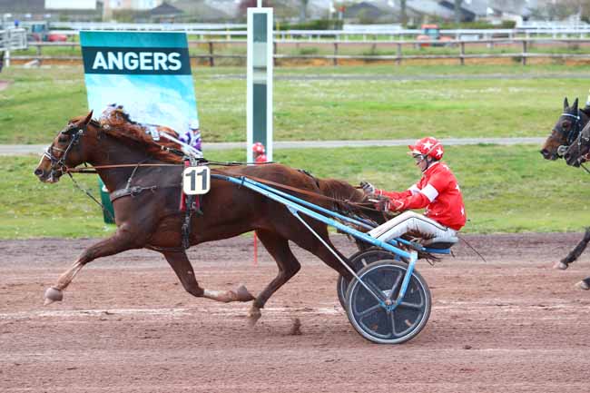 Photo d'arrivée de la course pmu PRIX TIMOKO à ANGERS le Mercredi 4 avril 2018