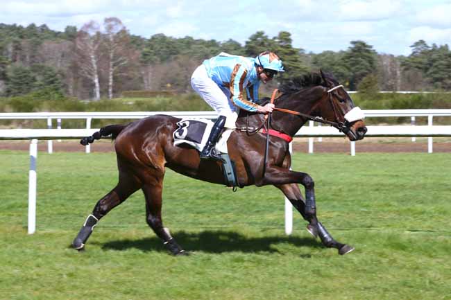Photo d'arrivée de la course pmu PRIX DE LA SOCIETE DES COURSES DE MOULINS à FONTAINEBLEAU le Mercredi 4 avril 2018
