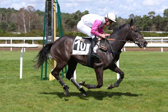 Photo d'arrivée de la course pmu PRIX DE LA MARE AUX COULEUVRES à FONTAINEBLEAU le Mercredi 4 avril 2018