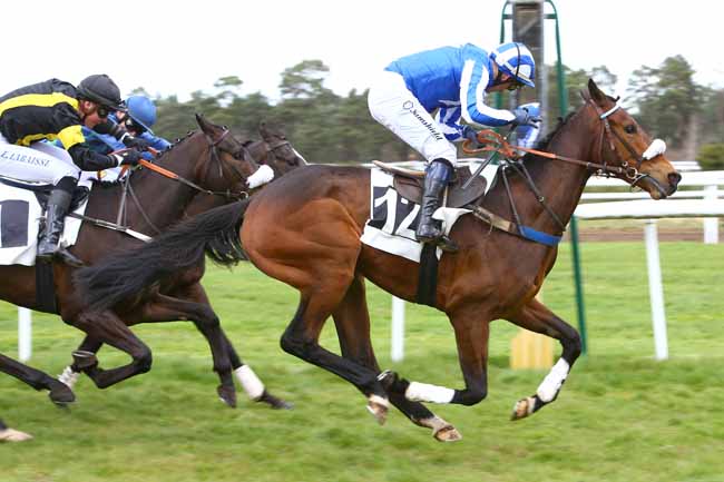 Photo d'arrivée de la course pmu PRIX DE MILLY-LA-FORET à FONTAINEBLEAU le Mercredi 4 avril 2018