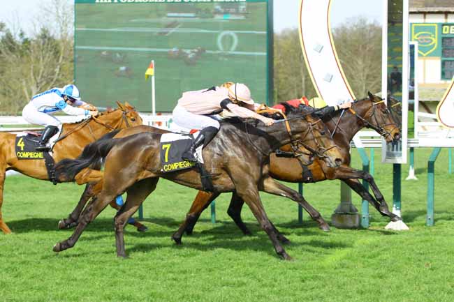 Photo d'arrivée de la course pmu PRIX DE CLERMONT DE L'OISE à COMPIEGNE le Vendredi 6 avril 2018