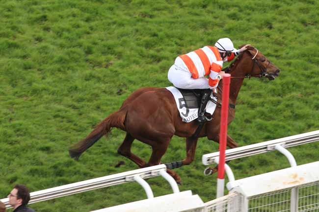Photo d'arrivée de la course pmu PRIX TURCO à AUTEUIL le Samedi 7 avril 2018