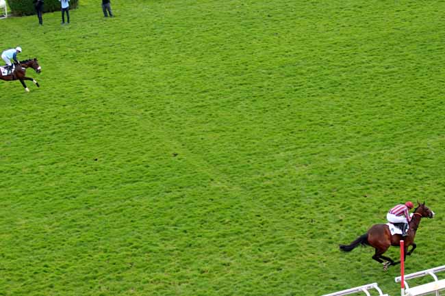 Photo d'arrivée de la course pmu PRIX CHAMPAUBERT à AUTEUIL le Samedi 7 avril 2018