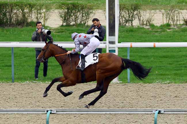 Photo d'arrivée de la course pmu PRIX DE LOUVECIENNES à DEAUVILLE le Lundi 9 avril 2018