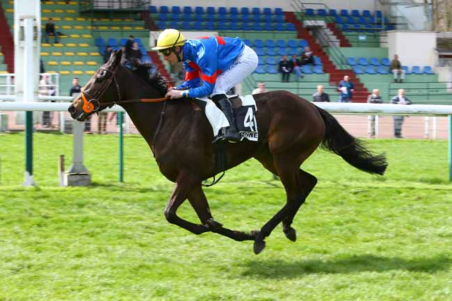 Photo d'arrivée de la course pmu PRIX DU FINISTERE à COMPIEGNE le Mardi 10 avril 2018
