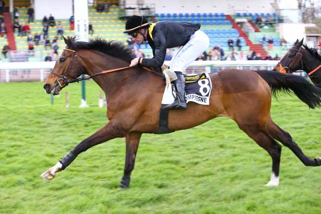Photo d'arrivée de la course pmu PRIX DU MONT-DORE à COMPIEGNE le Mardi 10 avril 2018