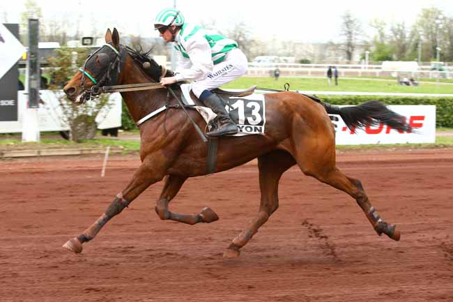 Photo d'arrivée de la course pmu PRIX DE MARSEILLE à LYON LA SOIE le Mercredi 11 avril 2018