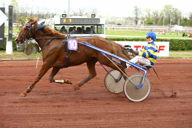 Photo d'arrivée de la course pmu PRIX HENRI CALLIER à LYON LA SOIE le Mercredi 11 avril 2018