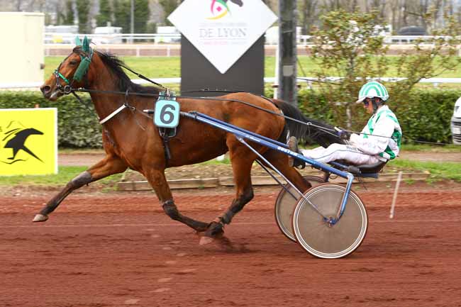 Photo d'arrivée de la course pmu PRIX DE TOULOUSE à LYON LA SOIE le Mercredi 11 avril 2018
