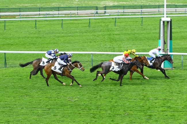 Photo d'arrivée de la course pmu PRIX DU CEDRE à LONGCHAMP le Mercredi 11 avril 2018