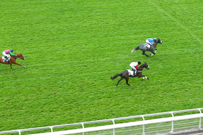 Photo d'arrivée de la course pmu PRIX GEOGRAPHIE à AUTEUIL le Jeudi 12 avril 2018
