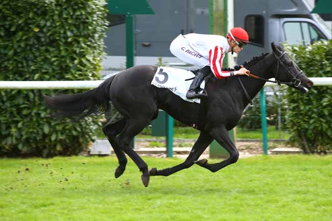 Photo d'arrivée de la course pmu PRIX DE LA CANARDIERE à CHANTILLY le Lundi 16 avril 2018