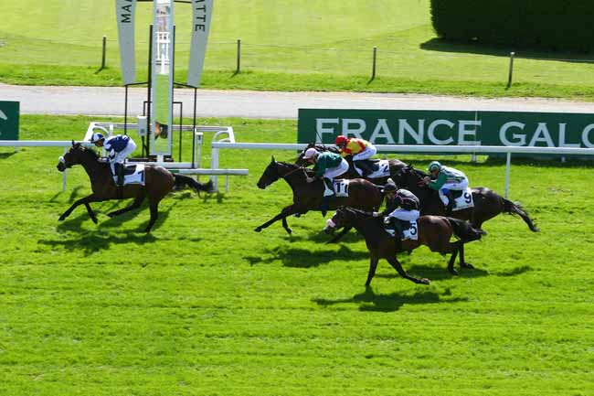 Photo d'arrivée de la course pmu PRIX DE GRIGNON à MAISONS-LAFFITTE le Mardi 17 avril 2018