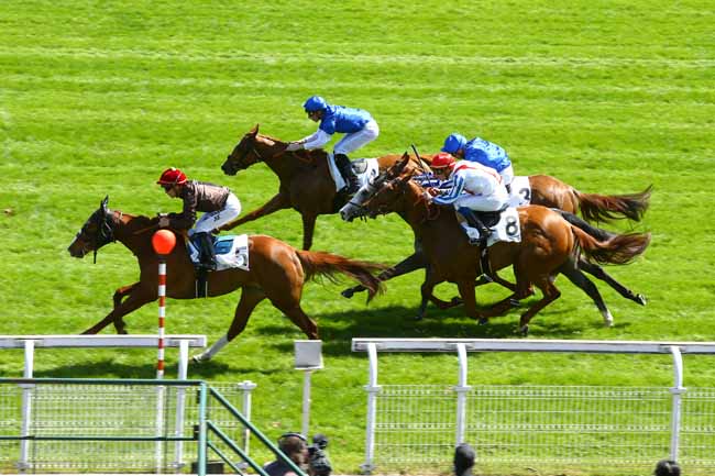 Photo d'arrivée de la course pmu PRIX BALBONELLA à MAISONS-LAFFITTE le Mardi 17 avril 2018